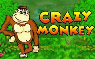 Обзор слота Crazy Monkey